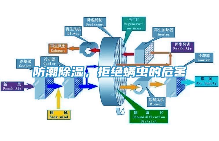 防潮除濕，拒絕螨蟲(chóng)的危害