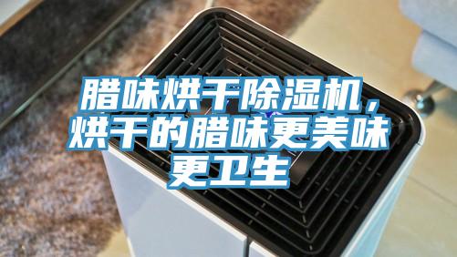 臘味烘干除濕機，烘干的臘味更美味更衛生