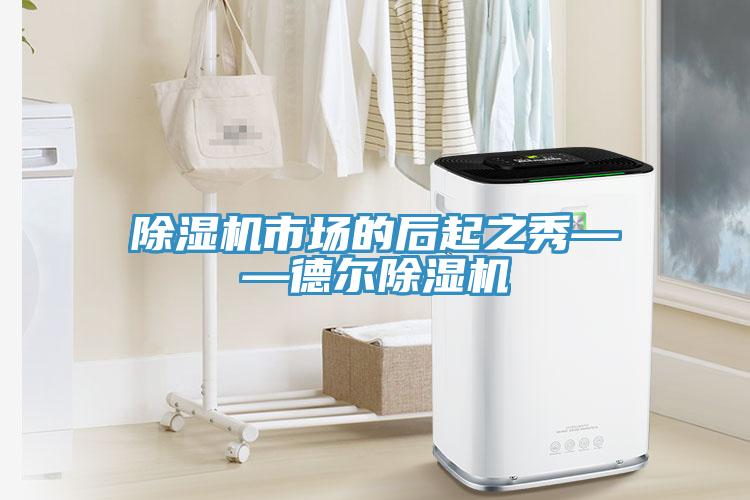 除濕機市場(chǎng)的后起之秀——德?tīng)柍凉駲C