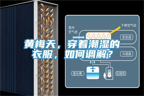 黃梅天，穿著(zhù)潮濕的衣服，如何調解？