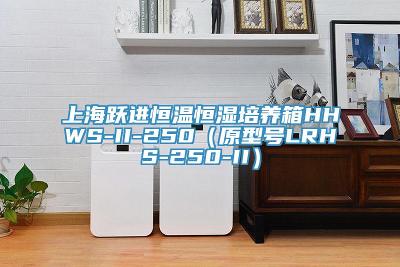 上海躍進(jìn)恒溫恒濕培養箱HHWS-II-250（原型號LRHS-250-II）