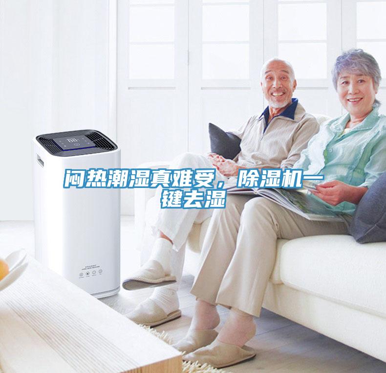 悶熱潮濕真難受，除濕機一鍵去濕