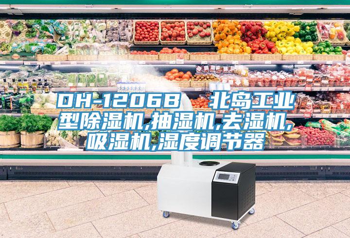 DH-1206B  北島工業(yè)型除濕機,抽濕機,去濕機,吸濕機,濕度調節器