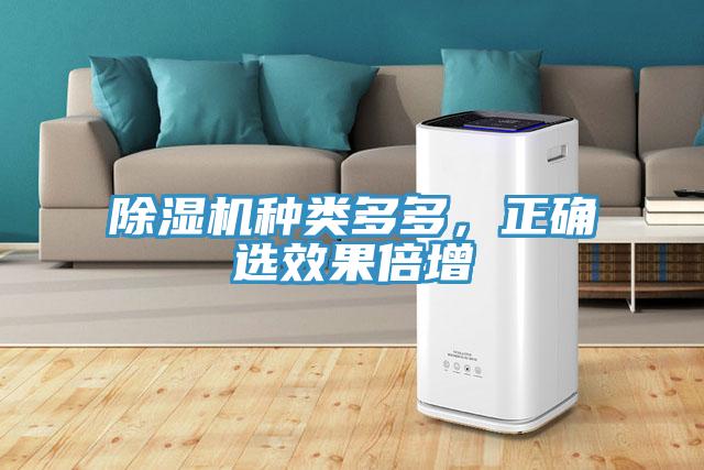 除濕機種類(lèi)多多，正確選效果倍增