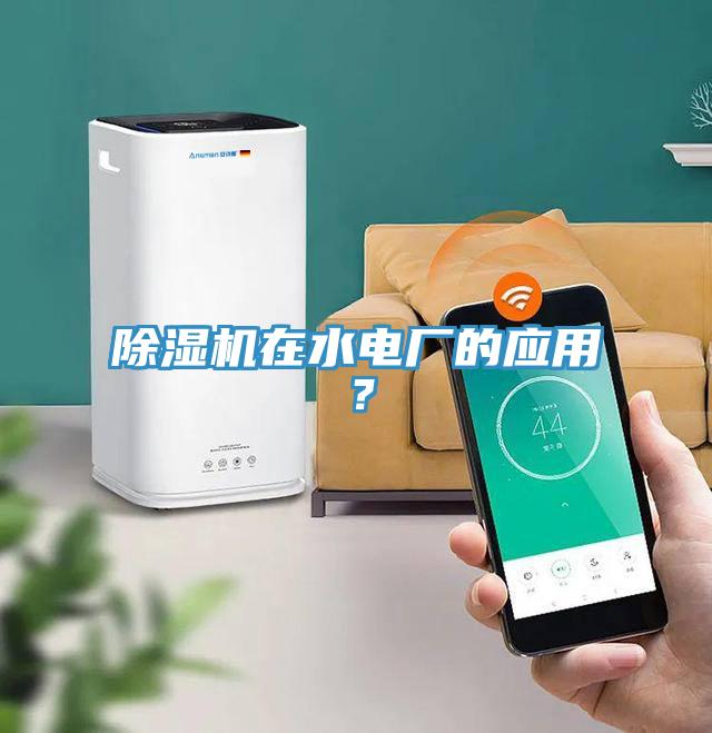 除濕機在水電廠(chǎng)的應用？