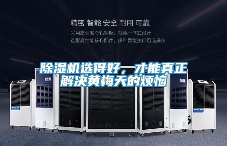 除濕機選得好，才能真正解決黃梅天的煩惱