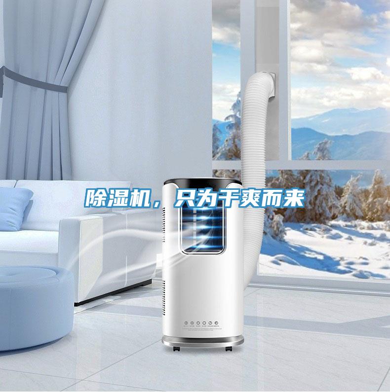 除濕機，只為干爽而來(lái)