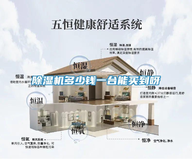 除濕機多少錢(qián)一臺能買(mǎi)到呀