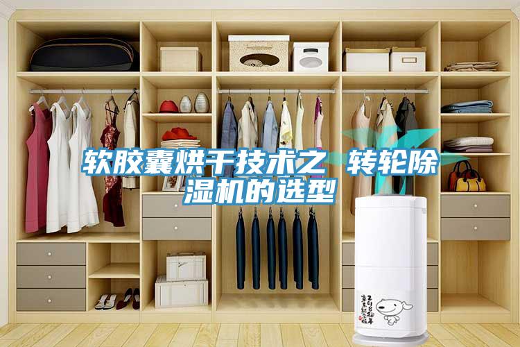 軟膠囊烘干技術(shù)之 轉輪除濕機的選型