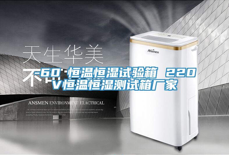 -60℃恒溫恒濕試驗箱 220V恒溫恒濕測試箱廠(chǎng)家