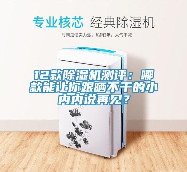 12款除濕機測評：哪款能讓你跟曬不干的小內內說(shuō)再見(jiàn)？