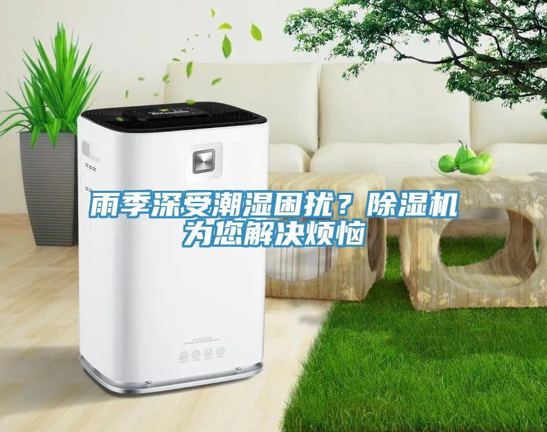 雨季深受潮濕困擾？除濕機為您解決煩惱