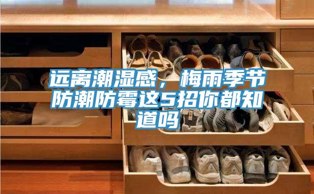 遠離潮濕感，梅雨季節防潮防霉這5招你都知道嗎