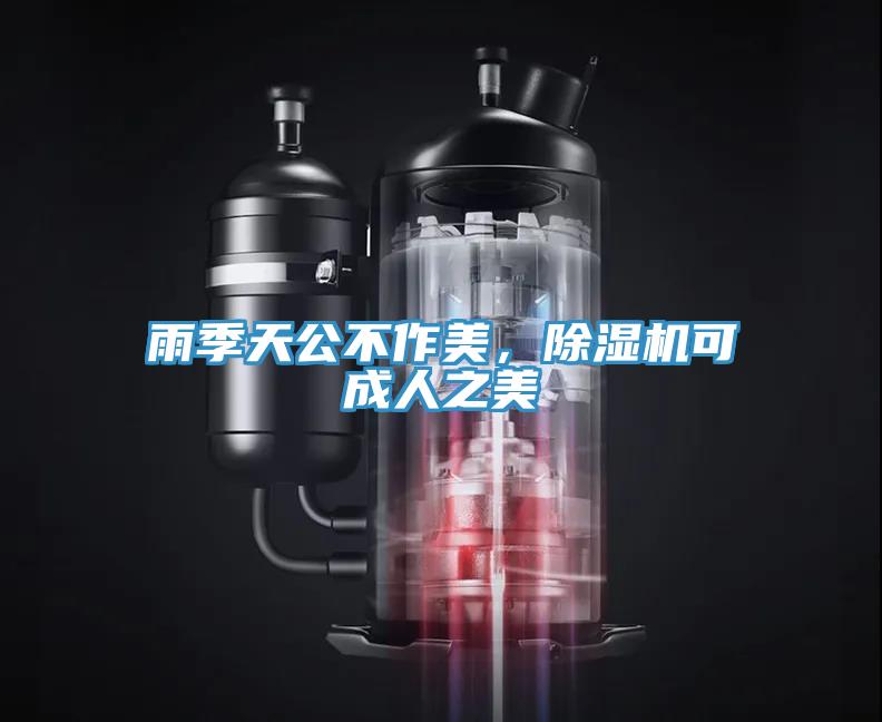 雨季天公不作美，除濕機可成人之美