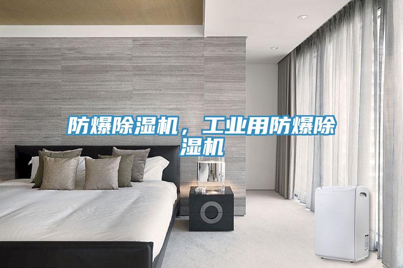 防爆除濕機，工業(yè)用防爆除濕機