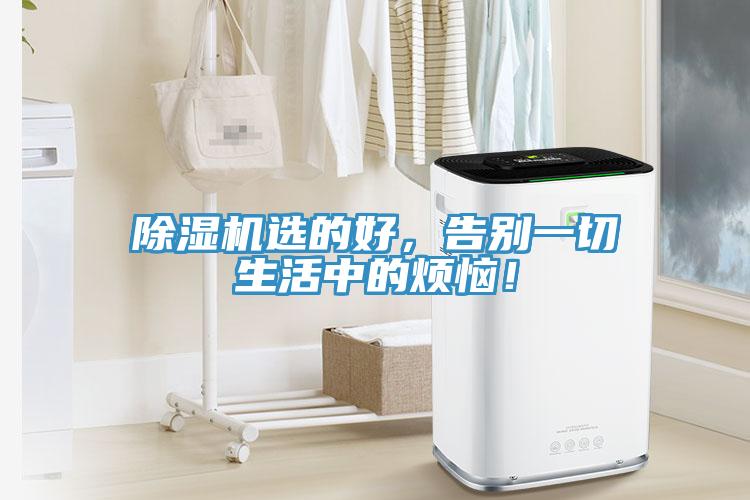 除濕機選的好，告別一切生活中的煩惱！