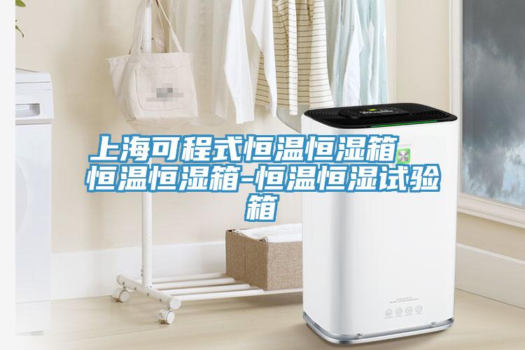 上?？沙淌胶銣睾銤裣? 恒溫恒濕箱-恒溫恒濕試驗箱