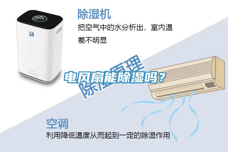 電風(fēng)扇能除濕嗎？