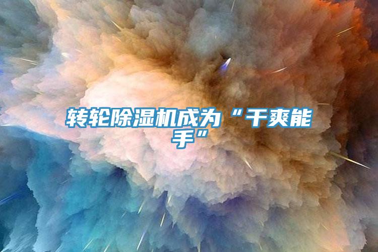 轉輪除濕機成為“干爽能手”