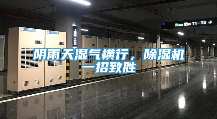 陰雨天濕氣橫行，除濕機一招致勝