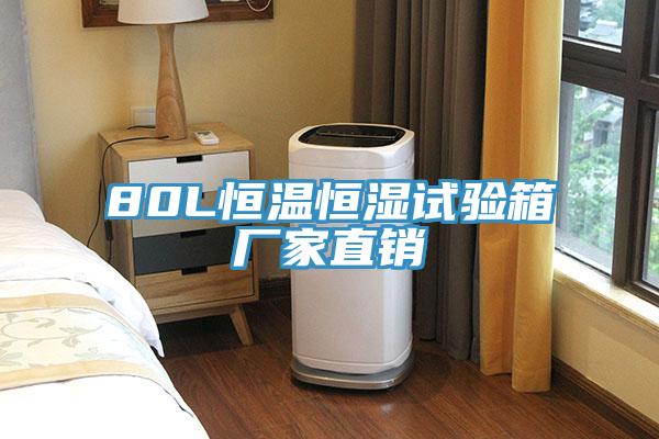 80L恒溫恒濕試驗箱廠(chǎng)家直銷(xiāo)