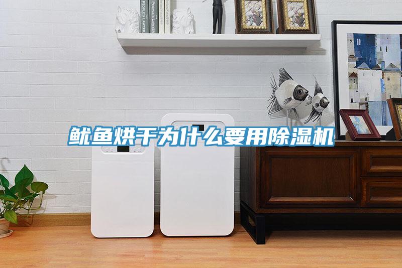 魷魚(yú)烘干為什么要用除濕機