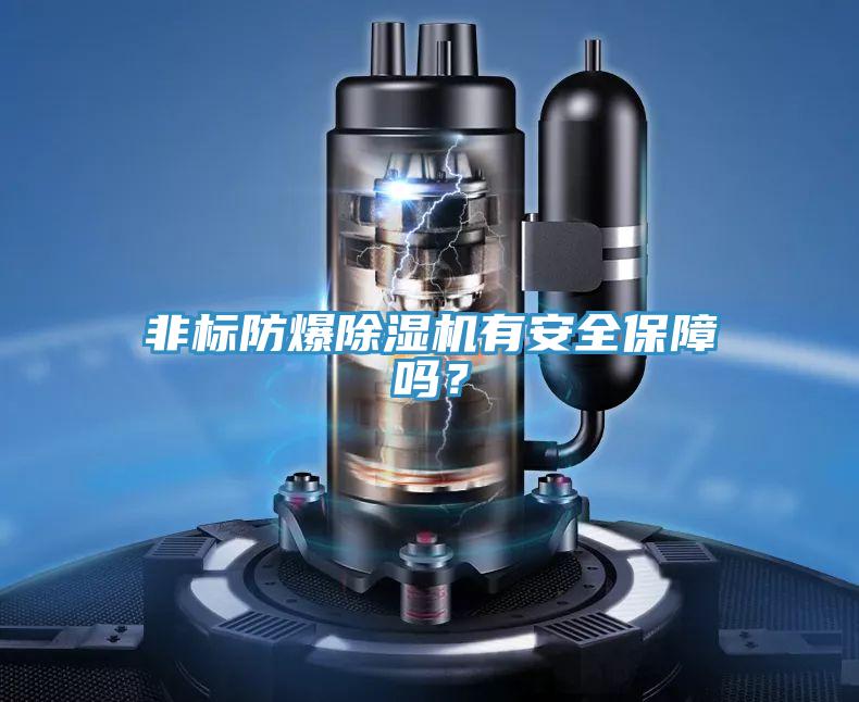 非標防爆除濕機有安全保障嗎？