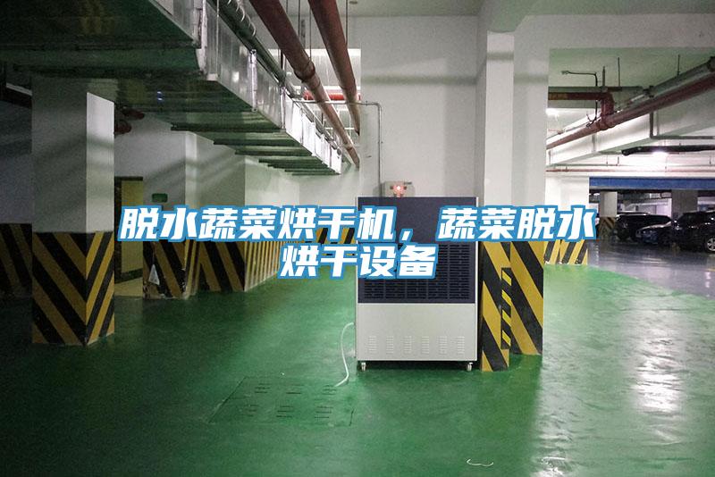 脫水蔬菜烘干機，蔬菜脫水烘干設備