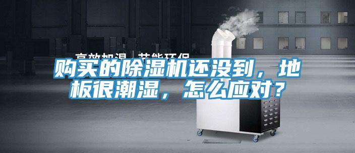 購買(mǎi)的除濕機還沒(méi)到，地板很潮濕，怎么應對？