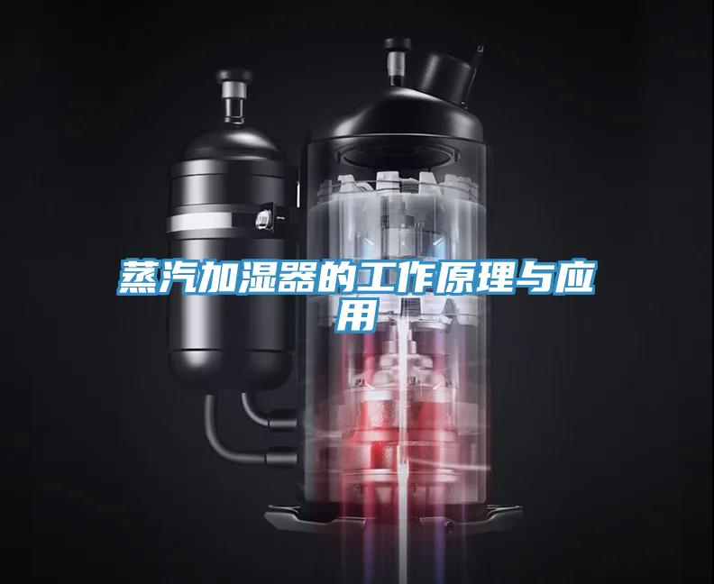 蒸汽加濕器的工作原理與應用