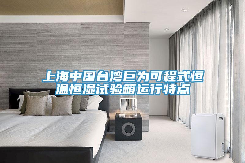 上海中國臺灣巨為可程式恒溫恒濕試驗箱運行特點(diǎn)