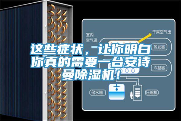 這些癥狀，讓你明白你真的需要一臺安詩(shī)曼除濕機！