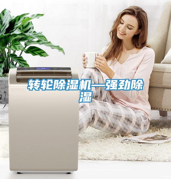 轉輪除濕機—強勁除濕