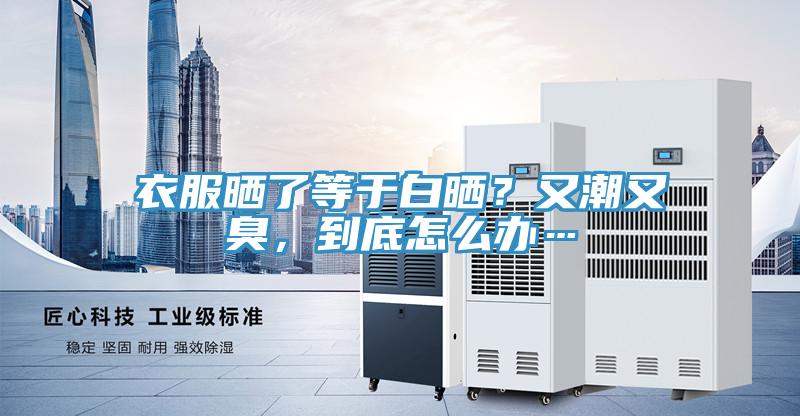 衣服曬了等于白曬？又潮又臭，到底怎么辦…