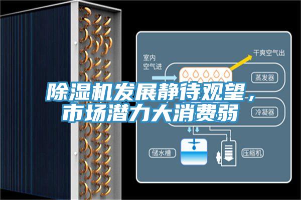 除濕機發(fā)展靜待觀(guān)望，市場(chǎng)潛力大消費弱