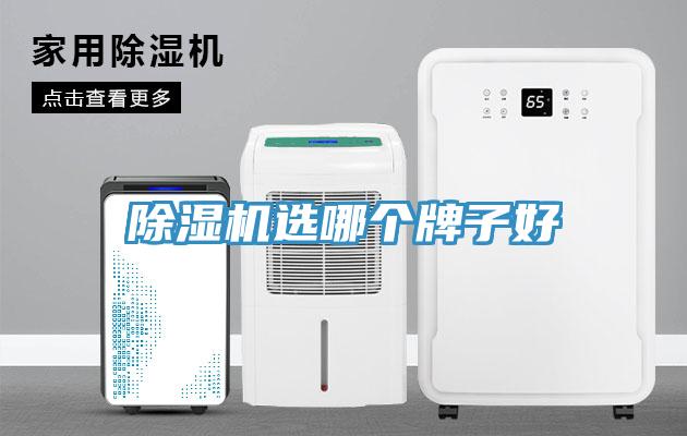 除濕機選哪個(gè)牌子好