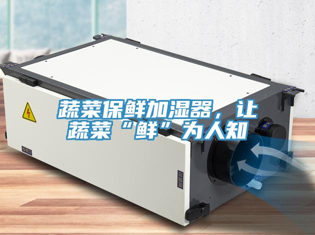蔬菜保鮮加濕器，讓蔬菜“鮮”為人知