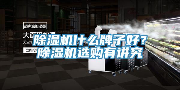 除濕機什么牌子好？除濕機選購有講究
