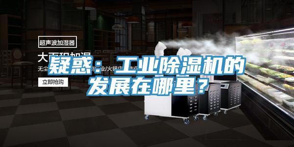 疑惑：工業(yè)除濕機的發(fā)展在哪里？