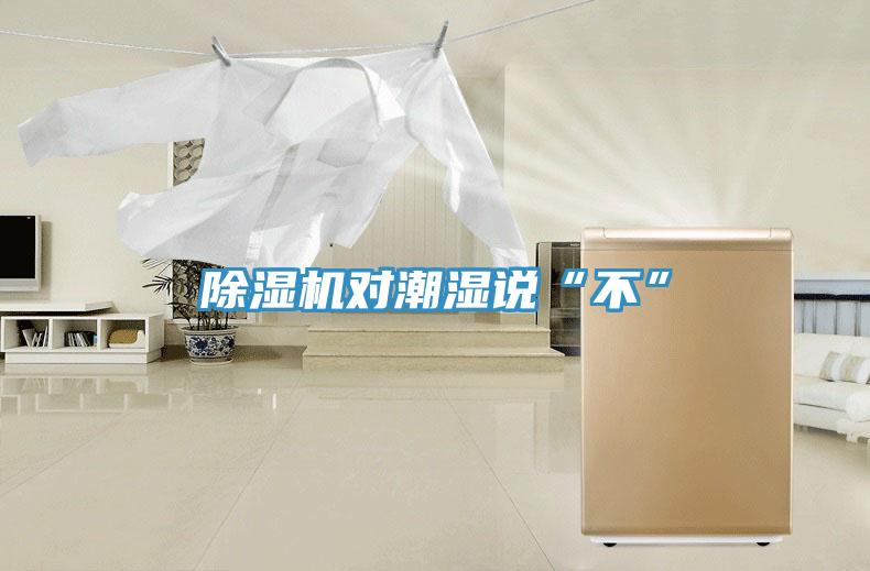 除濕機對潮濕說(shuō)“不”