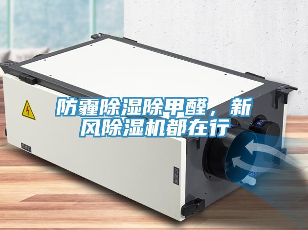 防霾除濕除甲醛，新風(fēng)除濕機都在行