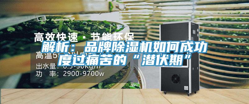 解析：品牌除濕機如何成功度過(guò)痛苦的“潛伏期”