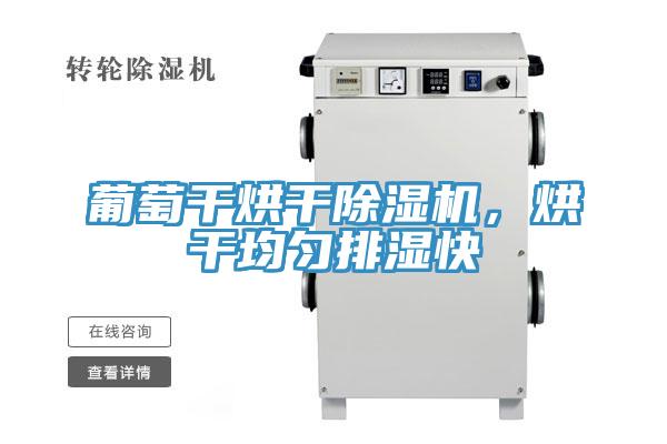 葡萄干烘干除濕機，烘干均勻排濕快