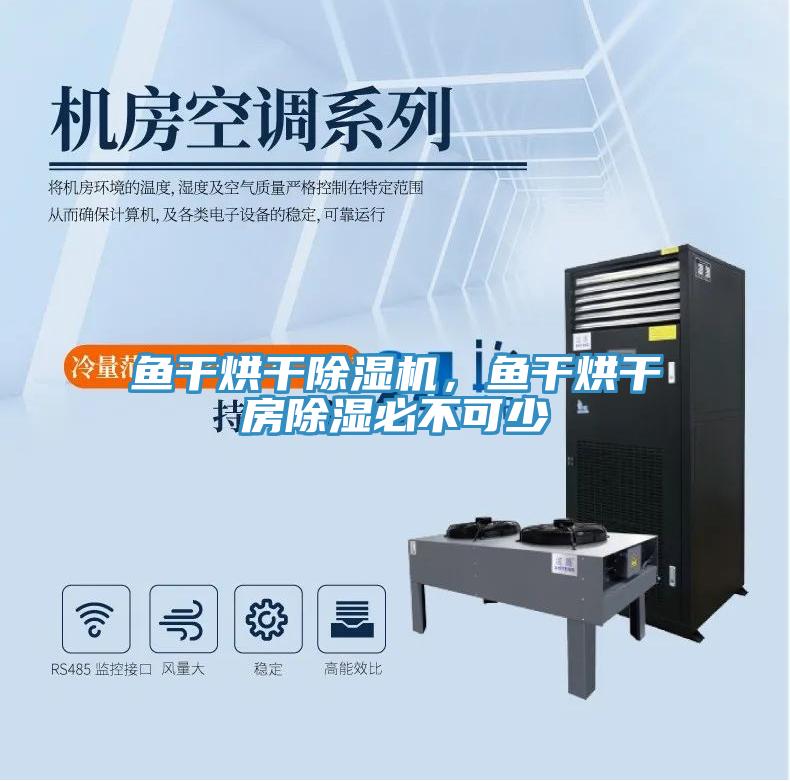 魚(yú)干烘干除濕機，魚(yú)干烘干房除濕必不可少