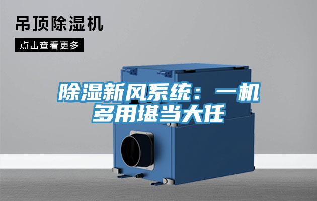 除濕新風(fēng)系統：一機多用堪當大任