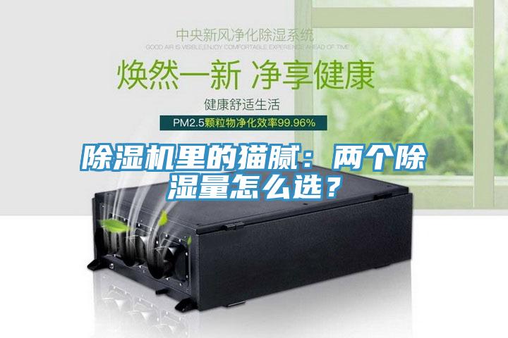 除濕機里的貓膩：兩個(gè)除濕量怎么選？