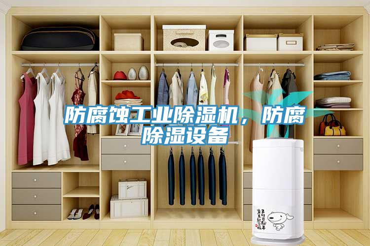 防腐蝕工業(yè)除濕機，防腐除濕設備