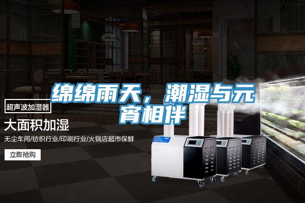 綿綿雨天，潮濕與元宵相伴