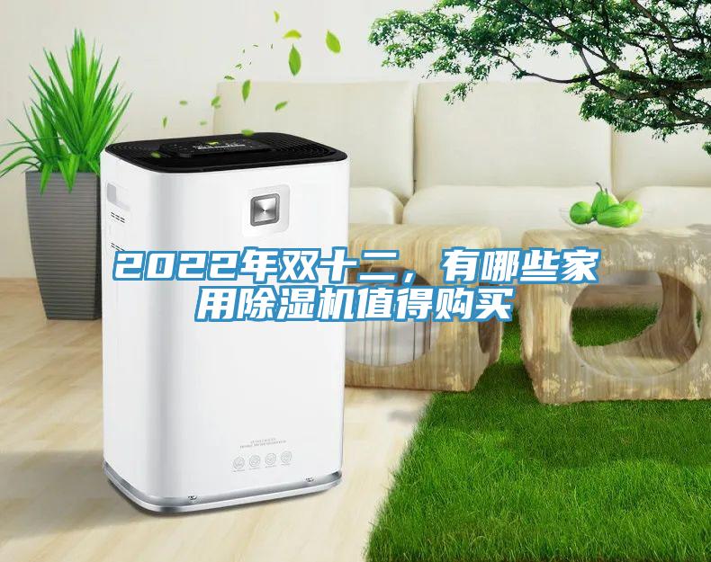 2022年雙十二，有哪些家用除濕機值得購買(mǎi)