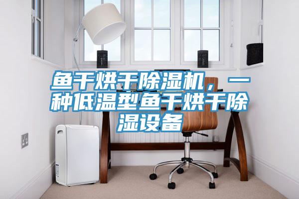 魚(yú)干烘干除濕機，一種低溫型魚(yú)干烘干除濕設備